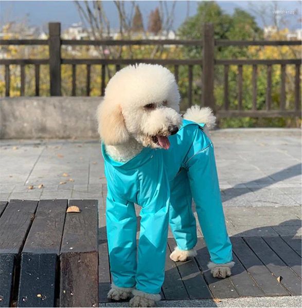 Ropa para perros Impermeable impermeable para mascotas de pierna larga Perros dedicados Caniche gigante Afgano Spit