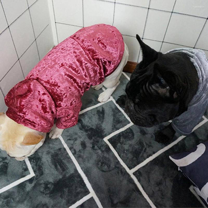 Hundkläder Weather Hoodie fashionabla varm bekväm Coral Fleece Pet Sweatshirt för vinterpremiumförsörjning mysig