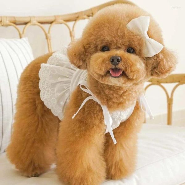 Vêtements pour chiens Robe de mariée Type court Jupe Robes pour animaux de compagnie Chat Chihuahua Yorkshire Terrier Poméranie Caniche Bichon Chiot Costume XS