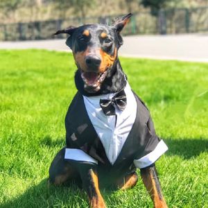 Chien Vêtements Costume De Mariage Grands Vêtements Smoking Grande Robe Formelle Welsh Corgi Samoyède Husky Golden Retriever Dobermann Vêtements 230628