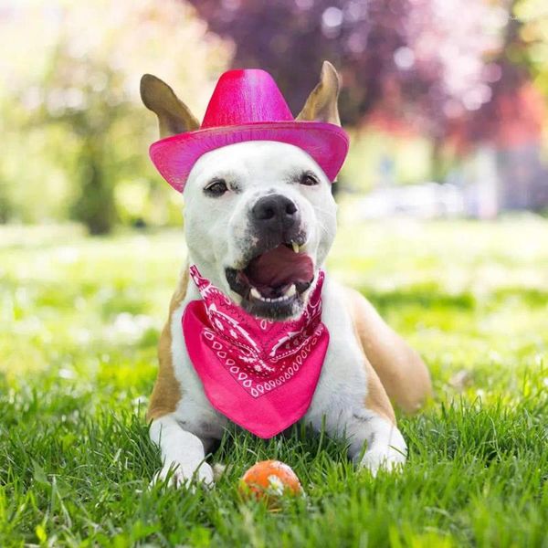 Vêtements pour chiens Costume de cowboy occidental Accessoires de fête pour animaux de compagnie Ensemble de boucles réglables Chapeau confortable Bandana pour petit