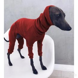 Vêtements pour chiens Whippet Vêtements de lévrier italien Combinaison légère pour chiens de taille moyenne et grande Body pour animaux de compagnie Tricot Lazy Design Sense Pull 231204