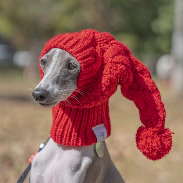 Vêtements pour chiens Whippet hiver chapeau de laine rouge animal de compagnie italien lévrier cadeau de noël avec boule de fourrure 231017