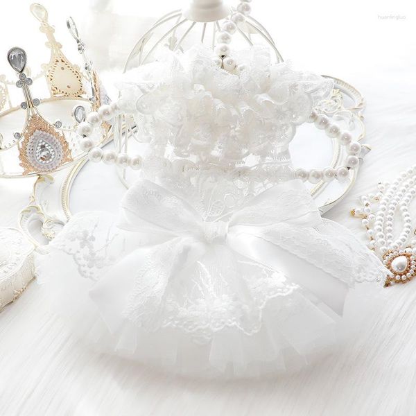 Vestimenta de ropa blancos vestidos de novia para ropa gato pequeño bownot falda delgada chica de verano ropa mascota productos chihuahua 2023