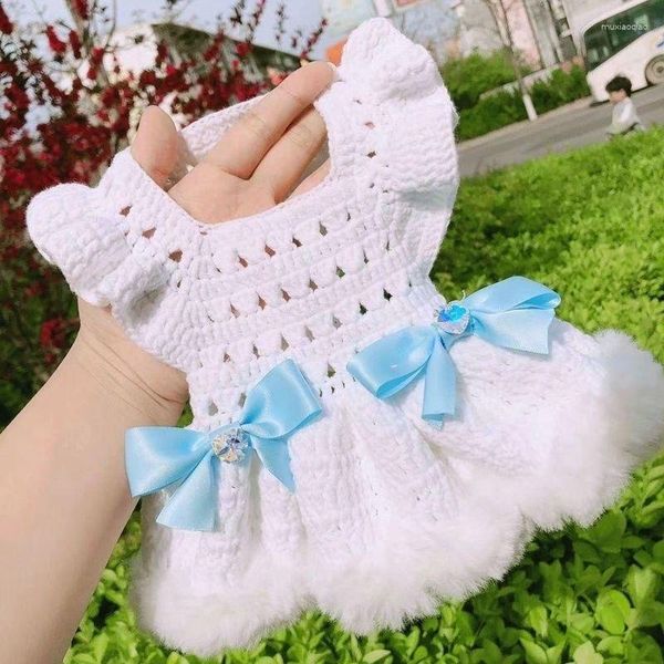 Vêtements de chien blanc pull jupe vêtements pour animaux de compagnie princesse robe chiens vêtements chat petit mignon automne hiver mode garçon Yorkshire