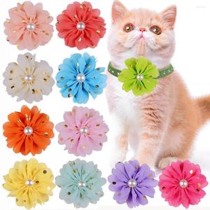 Vêtements pour chiens en gros 20 Pack Pet Déco en mousseline de soie fleur chat toilettage noeud papillon colliers de chiot décorations or estampage points fleurs de perles