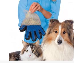 Hondenkleding groothandel huisdierproducten accessoires katten honden massage handschoen sof