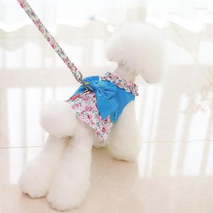 Vêtements de chien en gros princesse robe Teddy Bichon poméranien Yorkshire caniche printemps été mince chaton chat vêtements