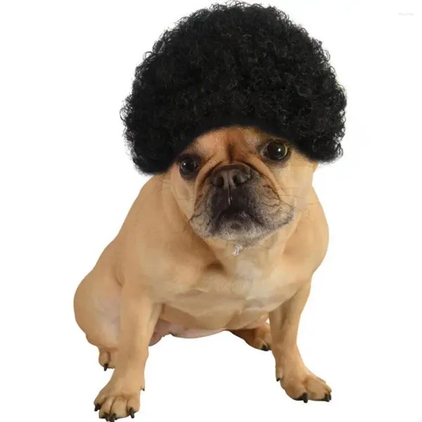 Vêtements de chien perruque cheveux noirs bouclés Costume d'animal de compagnie accessoires de Cosplay accessoires de tête drôles doux léger sangle à lacets anti-dérapant faux