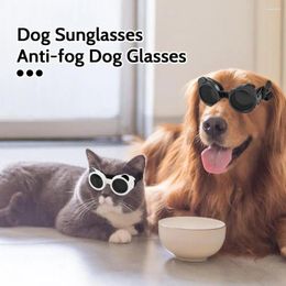 Ropa para perros Gafas a prueba de viento Gafas para mascotas a prueba de lluvia Conjunto para perros de raza pequeña Gafas de sol a prueba de rayos UV al aire libre