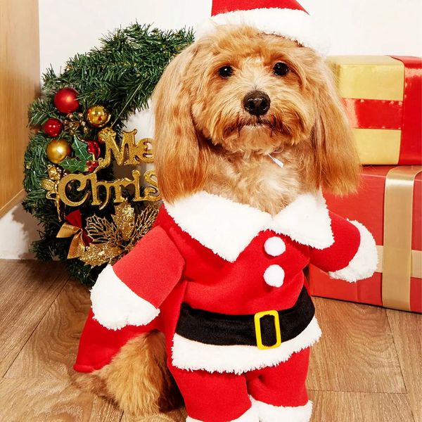Vêtements pour chiens Hiver Noël Noël Pull pour chien Pull en laine pour animaux de compagnie Veste coupe-vent Onesie Chapeau rouge petit moyen et grand costume de caniche en peluche 231124