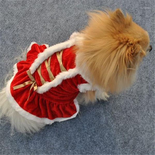 Ropa para perros Ropa de invierno para vestidos Perros pequeños Mascota Navidad Taza de té Cachorro Hermosos vestidos lindos1