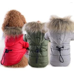 Vêtements d'hiver pour chiens Vêtements d'hiver Manteau léger Veste en coton pour petits chiens Vêtements de chiot de chat de compagnie en plein air avec capuche par temps froid Dr Otjzs