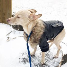 Vêtements pour chiens vêtements d'hiver animal de compagnie plus velours épaississant épaississant en cuir veste à sauts en combinaison parkas pour chihuahuas petit médium