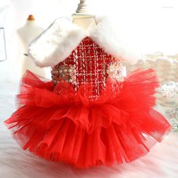 Vêtements pour chiens vêtements d'hiver robe de mariée chat chihuahua yorkshire poméranien petit costume jupe tutu toodle schnauzer vêtements