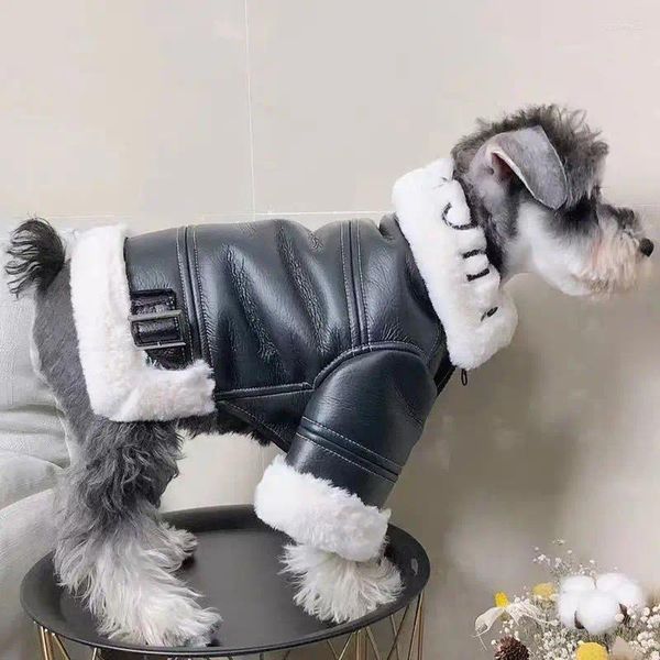 Vêtements pour chiens vêtements d'hiver épaissis de la marque à tendance fourrure veste de moto intégrée petite nounaillement bomy chat