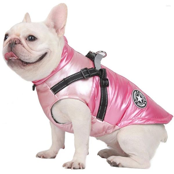 Ropa para perros abrigos de invierno ropa caliente para peluche chihuahua algodón disfraz de pieles de piel tela gato espesor de chaqueta accesorios