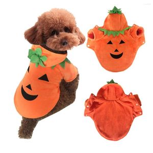 Vêtements pour chiens hiver mignon chapeau animal de compagnie accessoires de citrouille costume décorations d'Halloween manteau