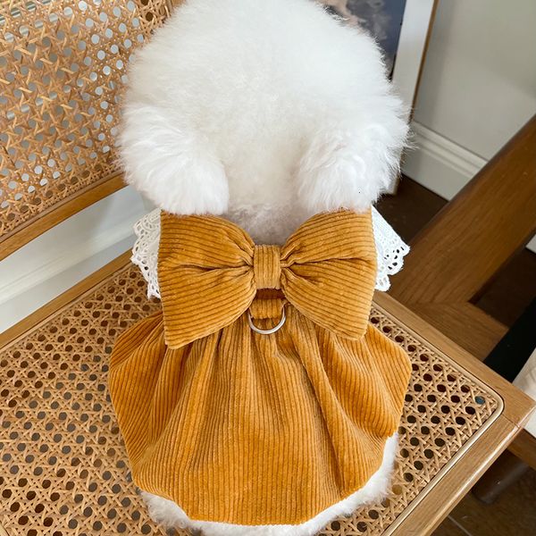 Vêtements pour chiens Hiver Chien Dentelle Robe Chat Chihuahua Chien Chiot Vêtements Jupe Yorkie Poméranie Shih Tzu Caniche Maltais Bichon Pet Vêtements XXS 230327