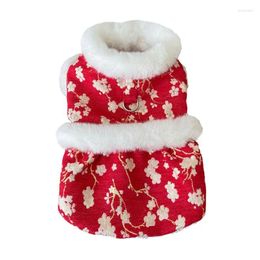 Vestimenta de perros vestidos de invierno gato falda de cachorros abrigo yorkie pomeranio malteo maltés bichon frize schnauzer ropa ropa de mascota