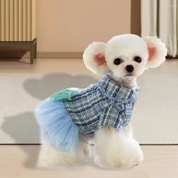 Ropa para perros Vestido de invierno Vestido de muñeca de encaje Cuello de malla Costura Bowknot Cat Puppy Falda de dos patas Diseño de botones de solapa Ropa linda para mascotas