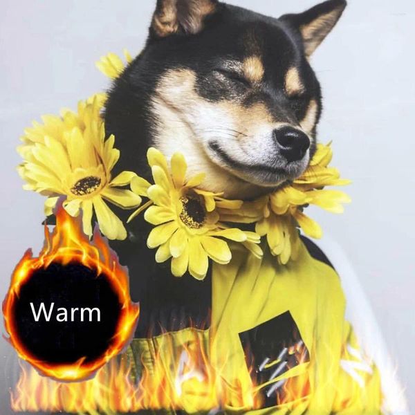 Vêtements de chien Veste d'hiver pour chiens Mode Chiot Vêtements Manteau épais Big Akita Pug Fat Raincoat Coupe-vent Sweats à capuche extérieurs