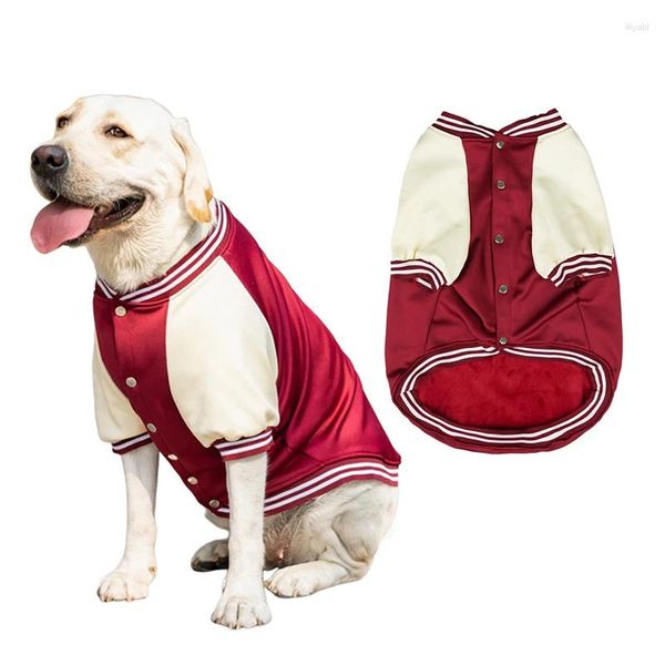 Vêtements pour chiens Vêtements d'hiver pour animaux de compagnie Sweat-shirt chaud Uniforme de baseball Petit Moyen Grand Chien Veste Vêtements pour Costume du Labrador