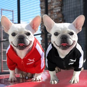 Vêtements pour chiens Vêtements d'hiver pour chiens de compagnie Chiens Sweats à capuche Sweat-shirt chaud Petit Moyen Grand Chiens Veste Vêtements Pe Costume Chiens Vêtements 230821