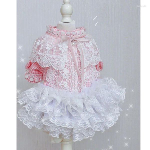 Ropa para perros Invierno Felpa Cálida Ropa para mascotas Moda Lindo Pink Grid Lace Flower Princess Vestido para Pequeño Mediano Yorkshire Puppy Faldas