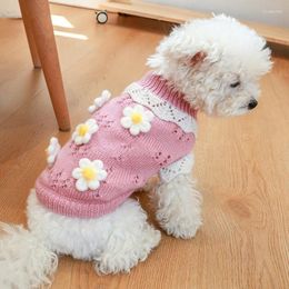 Vêtements pour chiens Pull d'hiver Cold temps de tricots Classic Pullover Coltlelows avec des vêtements pour animaux de compagnie chauds mignons pour Chihuahua Pug Yorkie