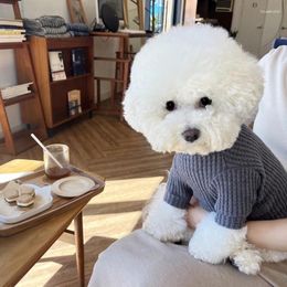 Habillement de chien Winter Waffle Sous-couche comparée à Bear Solid Two Twoged Cleged Pet Pet Soft Pullover Beautiful