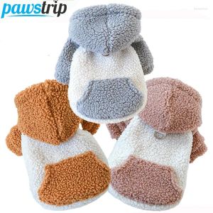 Vêtements pour chiens manteau chaud en manteau chaud épaissis de vêtements pour animaux de compagnie pour petits chiens moyen