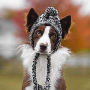 Chien vêtements hiver chaud tricoté coupe-vent chapeau enfants chapeaux chiens de compagnie vêtements de noël drôle chat accessoires habiller