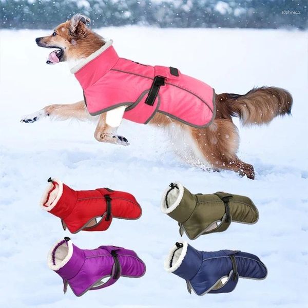 Ropa para perros Invierno CALIENTO CALIENTO COMPY PARA Traje de abrigo con tiras reflectantes