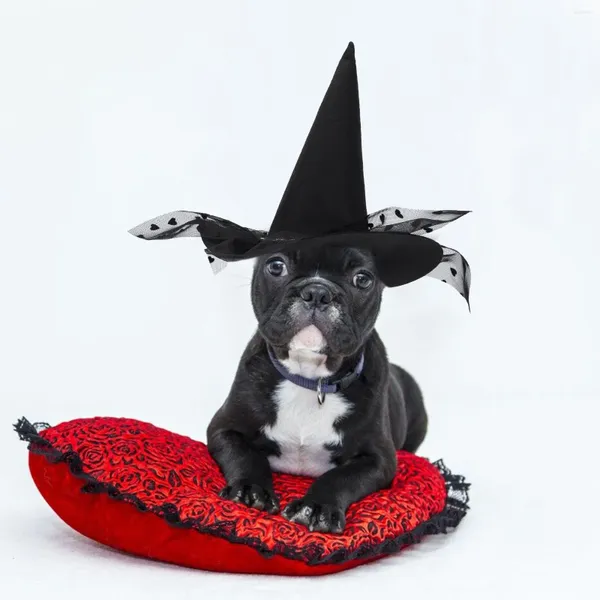 Vêtements pour chiens sorcières décor vêtements animaux de compagnie Costumes accessoires accessoires décoratifs halloween ornement copilation accessoire