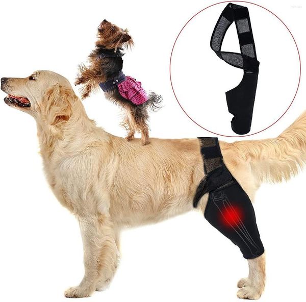 Vêtements pour chiens avec jambe avant et arrière Genouillère Bandage de récupération Anti-lécher Respirant Soulagement de la douleur Épaule Coude Accessoires