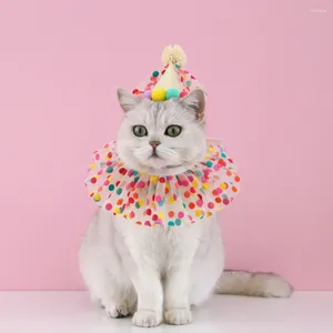 Vêtements de chien avec un chapeau de bal en peluche accessoires de compagnie de bonbons couleurs dot dentelle de chiens de chiens de costume Cat anniversaire pour la fête