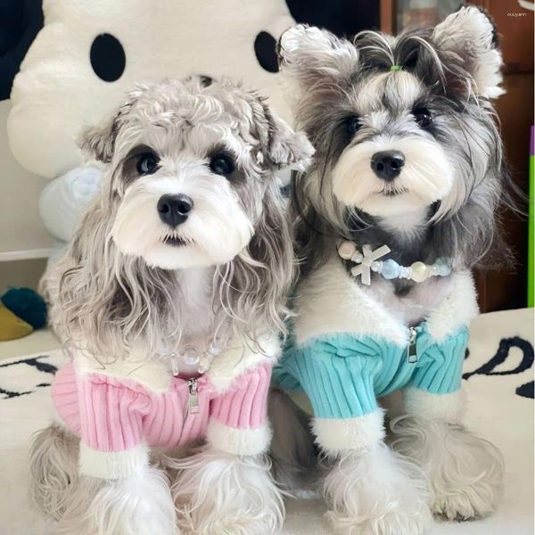 Ropa para perros Cherry Bomei Cardigan Ropa femenina Suéter cálido Cuello blanco Celebridad Viento Madre Teddy Otoño Invierno