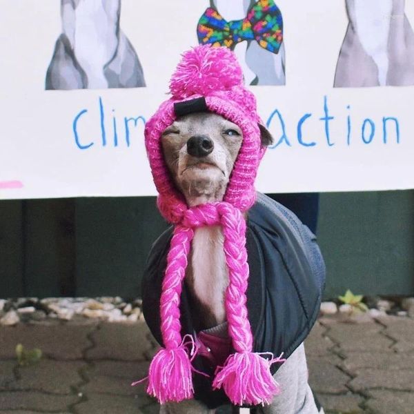 Vêtements pour chiens chapeau de laine pour hiver pour enfants à vent les chapeaux de compagnie chauds en tricot pour animaux de compagnie de Noël