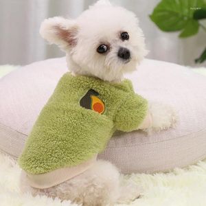 Vêtements de chien XS-2XL 4Color Avocat Pastèque Raisin Orange Imprimer Pull Chaud Mignon Yorkshire Terrier Teddy Chat Petit Animal Vêtements D'hiver