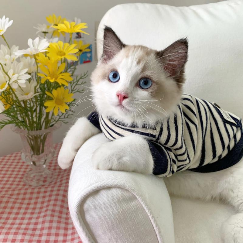 Dog Apparel Year Autumn Winter Sweater Warm Cat Clothes Kitten Beautiful Cute Pet Costume