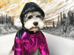 Dog Apperal 2 kleuren Winter populair ski pak huisdier down jas puffer cool knappe honden jas poedel drop -schip