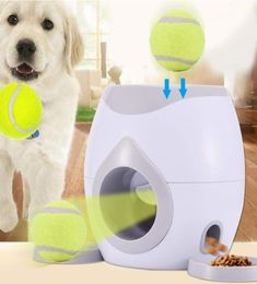 Dog BallsAutomatic Launcher Récompense Toy Feeder Puzz Puzzle Dispentier Interactive Food Feed Feed Machine7609662