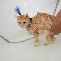 Laisse de bain pour chien avec ventouse lourde, laisse en nylon souple avec collier réglable pour douche et toilettage pour chien et chat