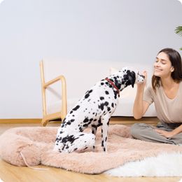 Lit de chien Chien de grande taille, couvercle du canapé moelleux, tapis de chien lavable pour protecteur de meubles, parfait pour les petits, moyens et grands chiens et chats