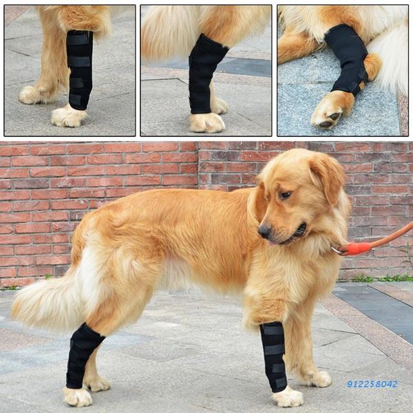 Housses de siège de voiture pour chien 1 paire de jambes Brace Pet Knee Hock Protector Pad Support thérapeutique antichoc
