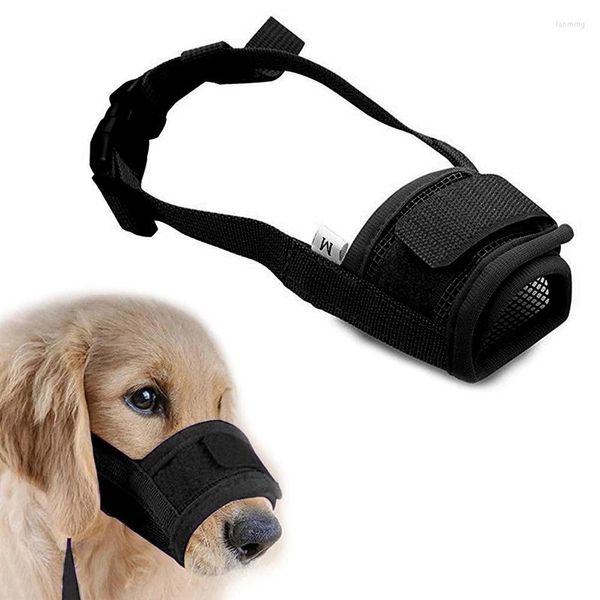 Couvercles de siège d'auto chien Ainolway Muzzle anti-aboiement pour les petits chiens Adjustable Pet Muzzle Stracts en nylon accessoires