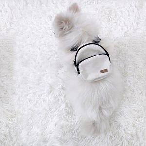 Housses de siège de voiture pour chien Sac à dos Doux Snack pour animaux de compagnie Sac Chiot Mignon École Portable Transporteur Mochila Para Perro Sac A Dos Perros Accesorios