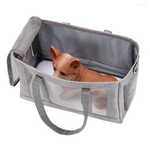 Housses de siège de voiture pour chien sac de transport respirant pour animaux de compagnie Portable chiot voyage maille sac à dos épaule extérieure pour petits chats Chihuahua caniche