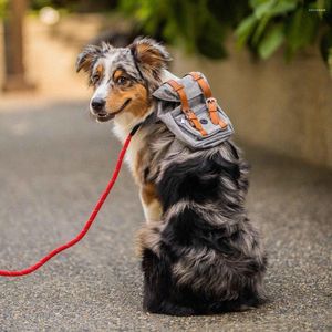 Hond Auto Stoelhoezen Britse Stijl Reisrugzak Outdoor Leuke Draagtas Voor Kleine Honden Mode Benodigdheden Accessoires